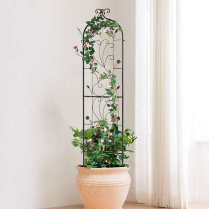 TFHPJ38152-1 - Durable 60" Metal Garden Trellis for Climbing Plants