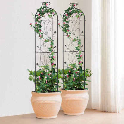 TFHPJ38152-2 - Durable 60x15in Metal Trellis for Climbing Plants & Garden Art