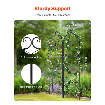 TFHPJ51180-2 - 71" Metal Trellis for Robust Climbing Plant Support