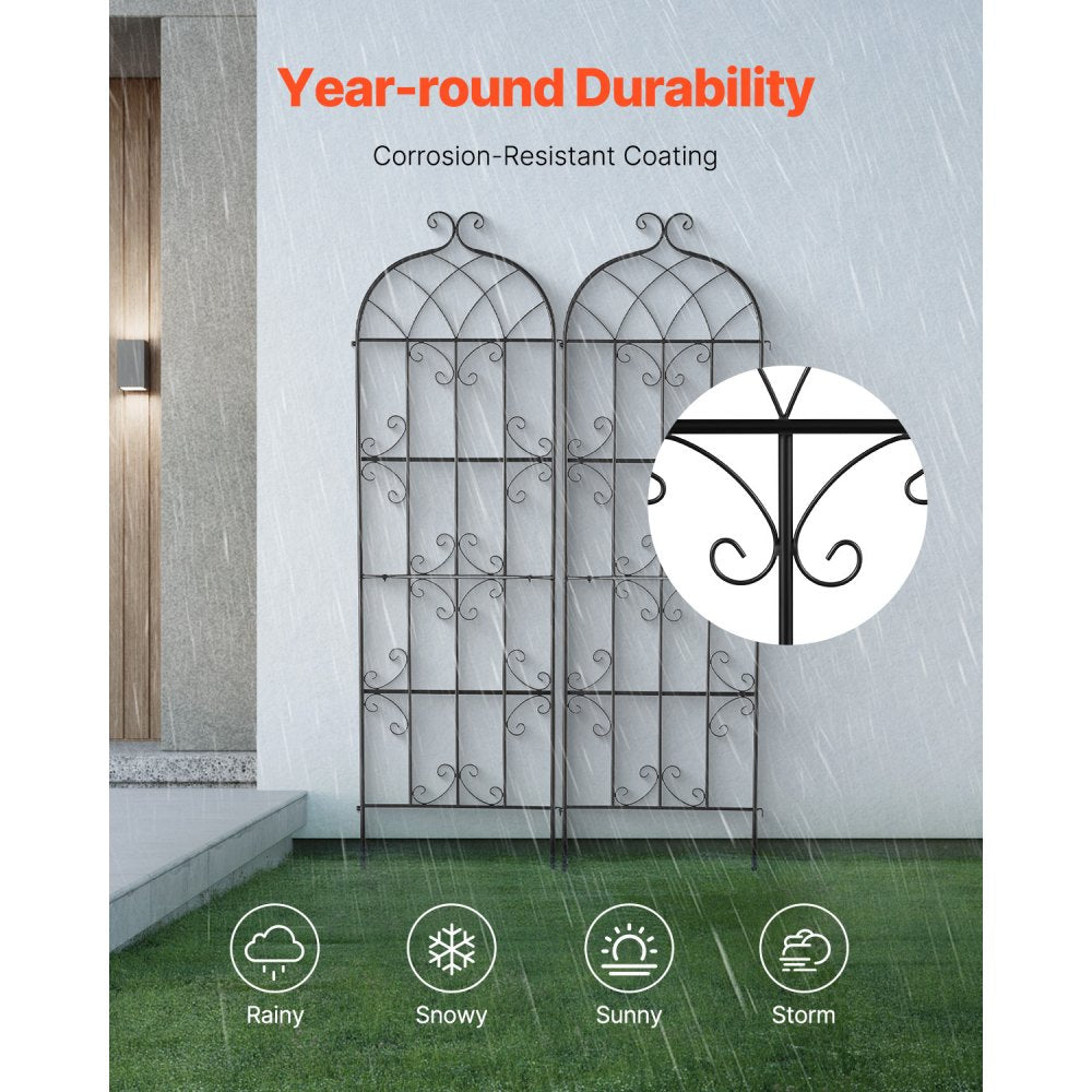 TFHPJ51180-2 - 71" Metal Trellis for Robust Climbing Plant Support
