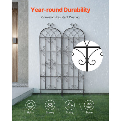 TFHPJ51180-2 - 71" Metal Trellis for Robust Climbing Plant Support