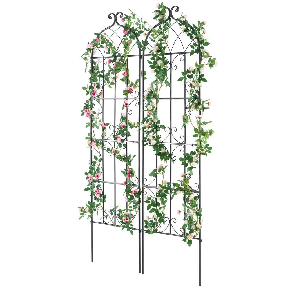 TFHPJ51180-2 - 71" Metal Trellis for Robust Climbing Plant Support