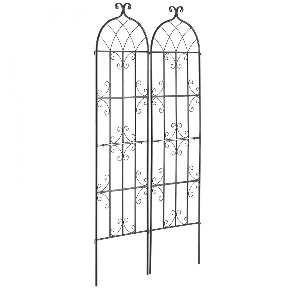 TFHPJ51180-2 - 71" Metal Trellis for Robust Climbing Plant Support
