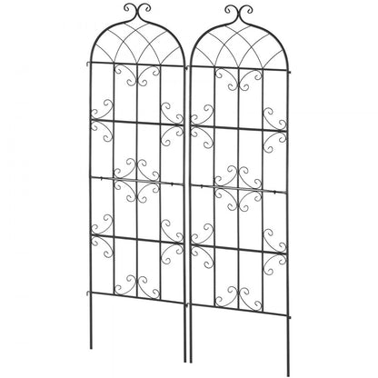 TFHPJ51180-2 - 71" Metal Trellis for Robust Climbing Plant Support