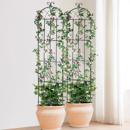 TFHPJ51220-4 - 87 x 20 in Metal Trellis for Climbing Plants - Easy Install