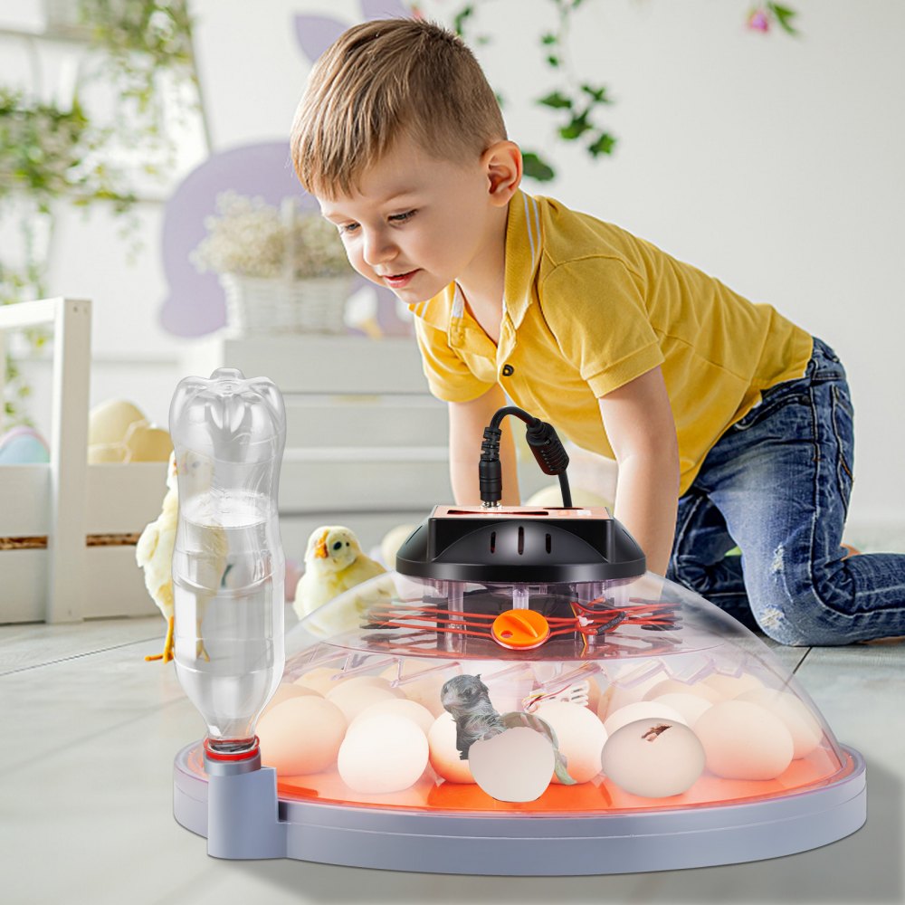 N-24 - Smart 24-Egg Incubator with Automatic Turning and Dual Power Supply