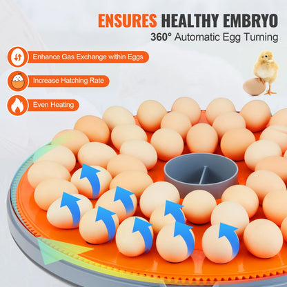 N-48 - 48 Egg Auto Turner Incubator with Dual Power & Humidity Control
