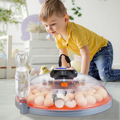 N-48 - 48 Egg Auto Turner Incubator with Dual Power & Humidity Control