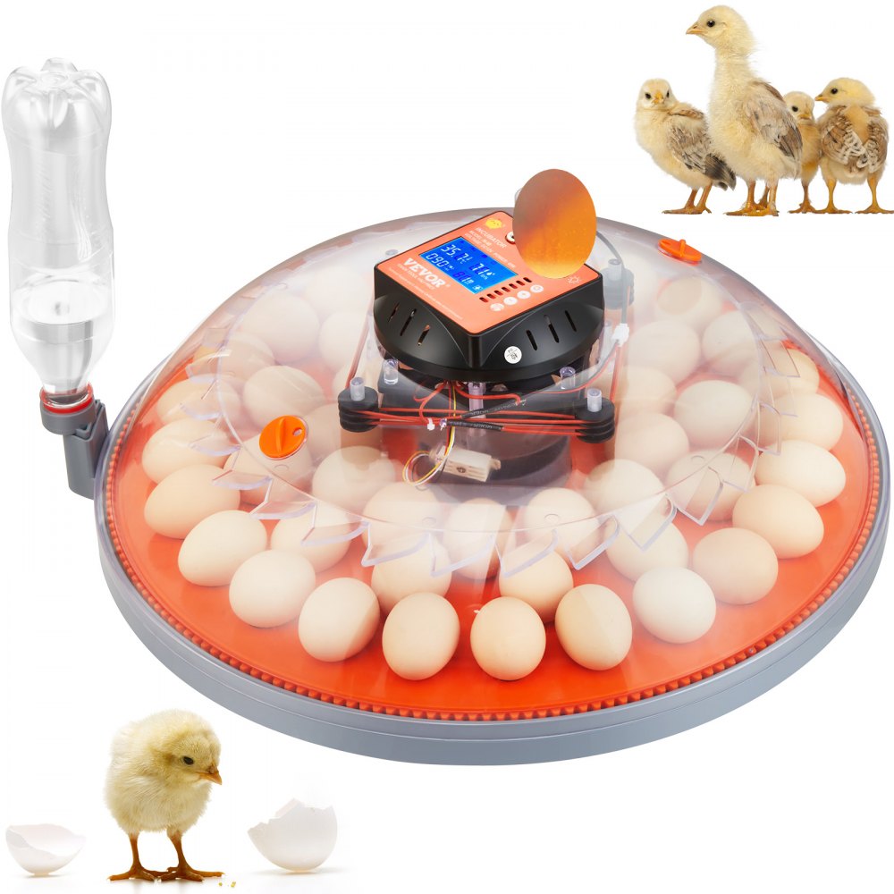 N-48 - 48 Egg Auto Turner Incubator with Dual Power & Humidity Control