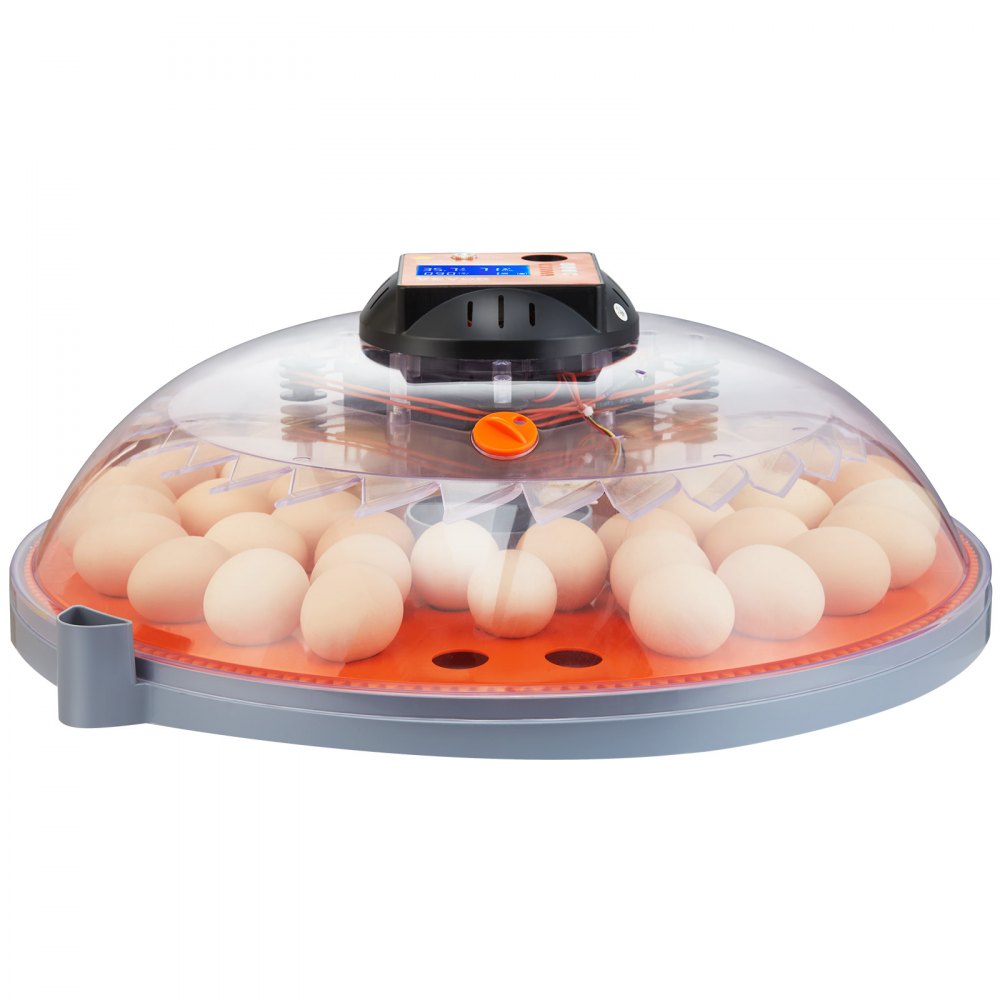 N-48 - 48 Egg Auto Turner Incubator with Dual Power & Humidity Control