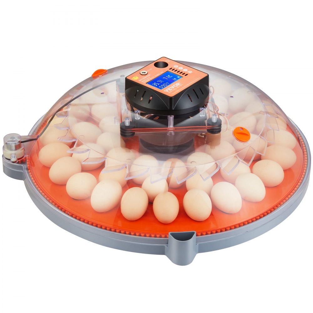 N-48 - 48 Egg Auto Turner Incubator with Dual Power & Humidity Control