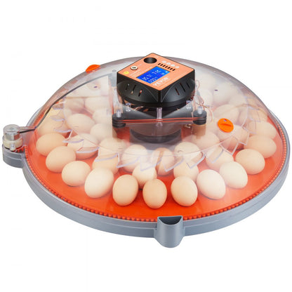 N-48 - 48 Egg Auto Turner Incubator with Dual Power & Humidity Control