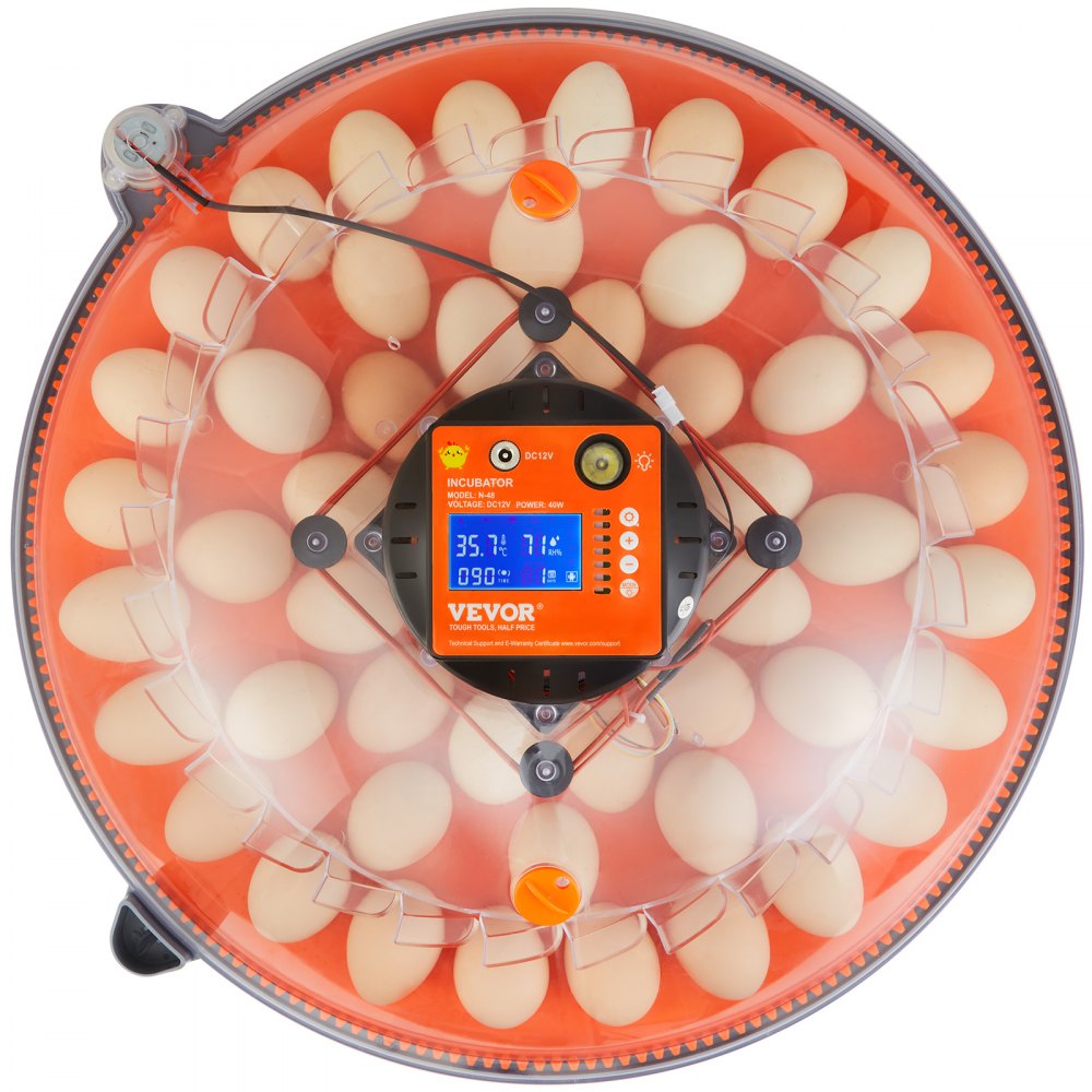 N-48 - 48 Egg Auto Turner Incubator with Dual Power & Humidity Control