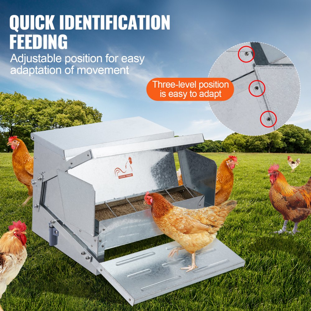 CF-06H - Durable Galvanized Steel Chicken Feeder for 10 Chickens, 25 lbs Capacity