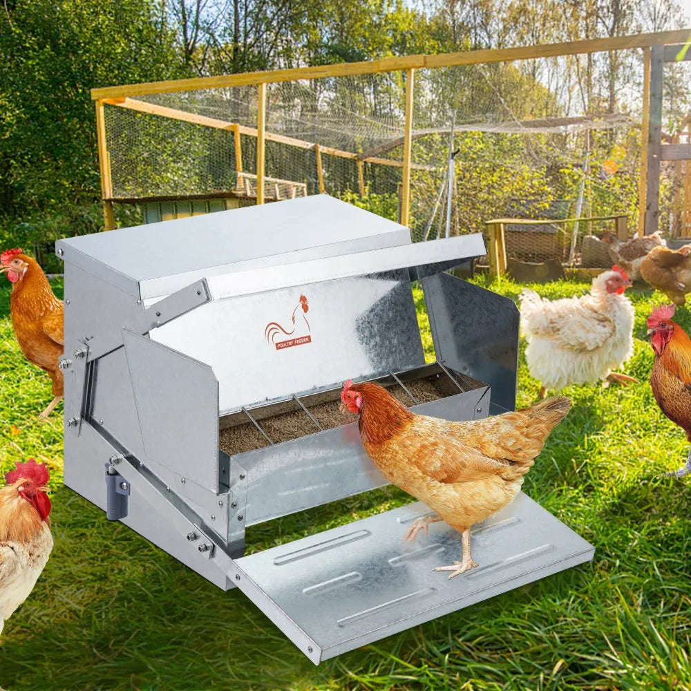 CF-06H - Durable Galvanized Steel Chicken Feeder for 10 Chickens, 25 lbs Capacity