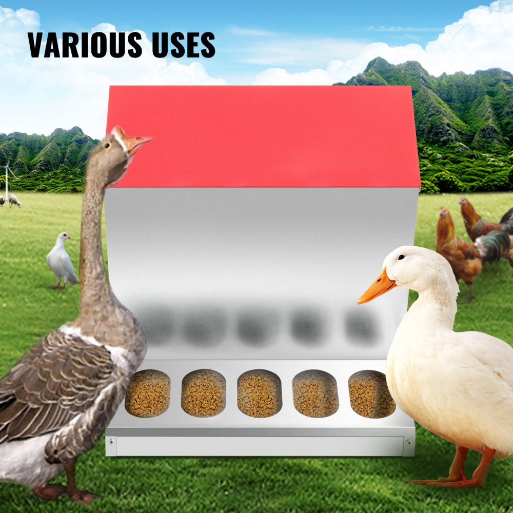 010157826611 - Durable Galvanized Poultry Feeder for Chickens, Ducks & Geese