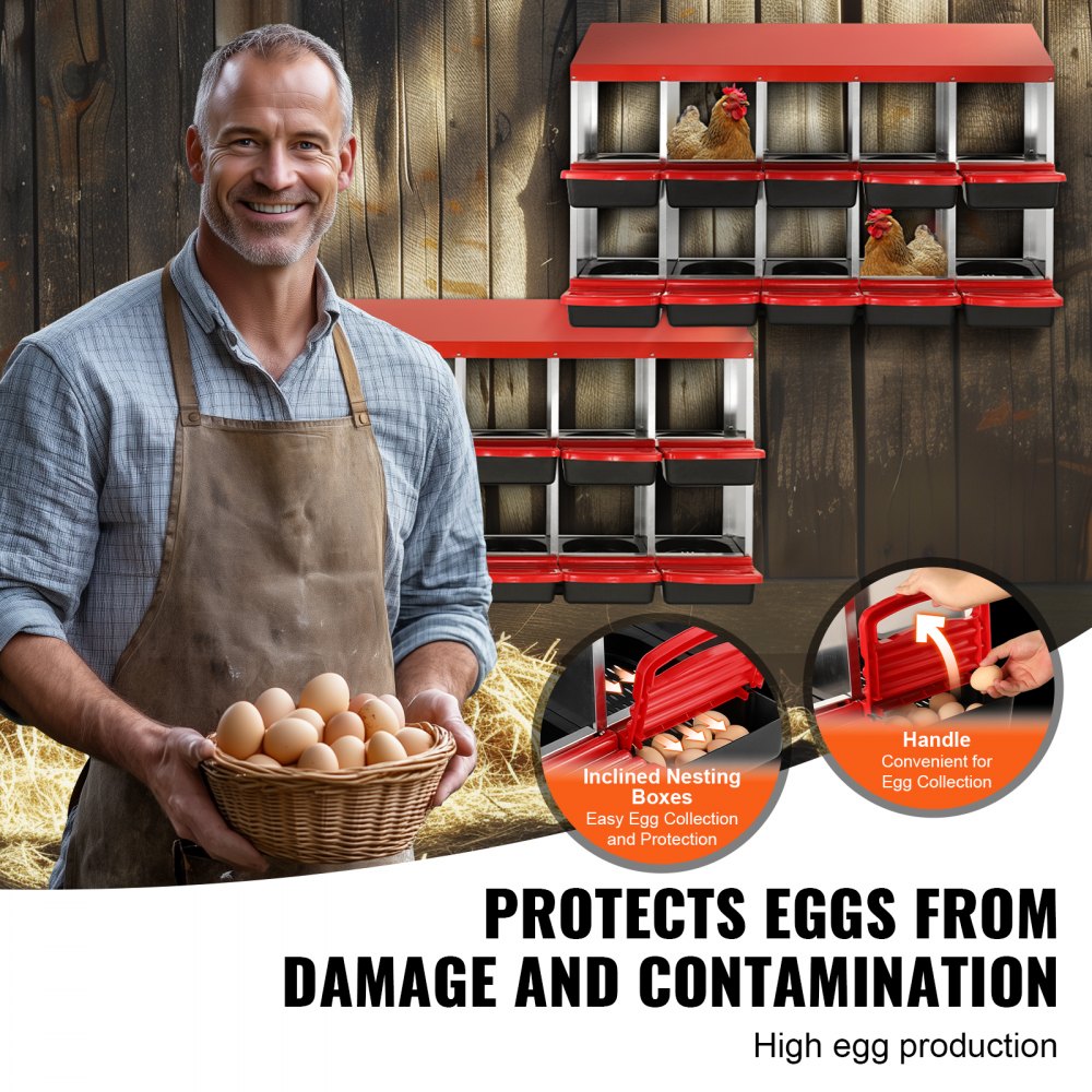 EB-10 - Durable 10-Compartment Chicken Nest Box for Efficient Egg Farming