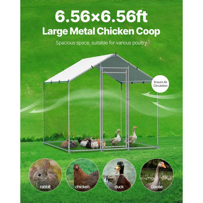 JD222 - 6.56ft Steel Chicken Coop with Hexagonal Mesh & Canopy