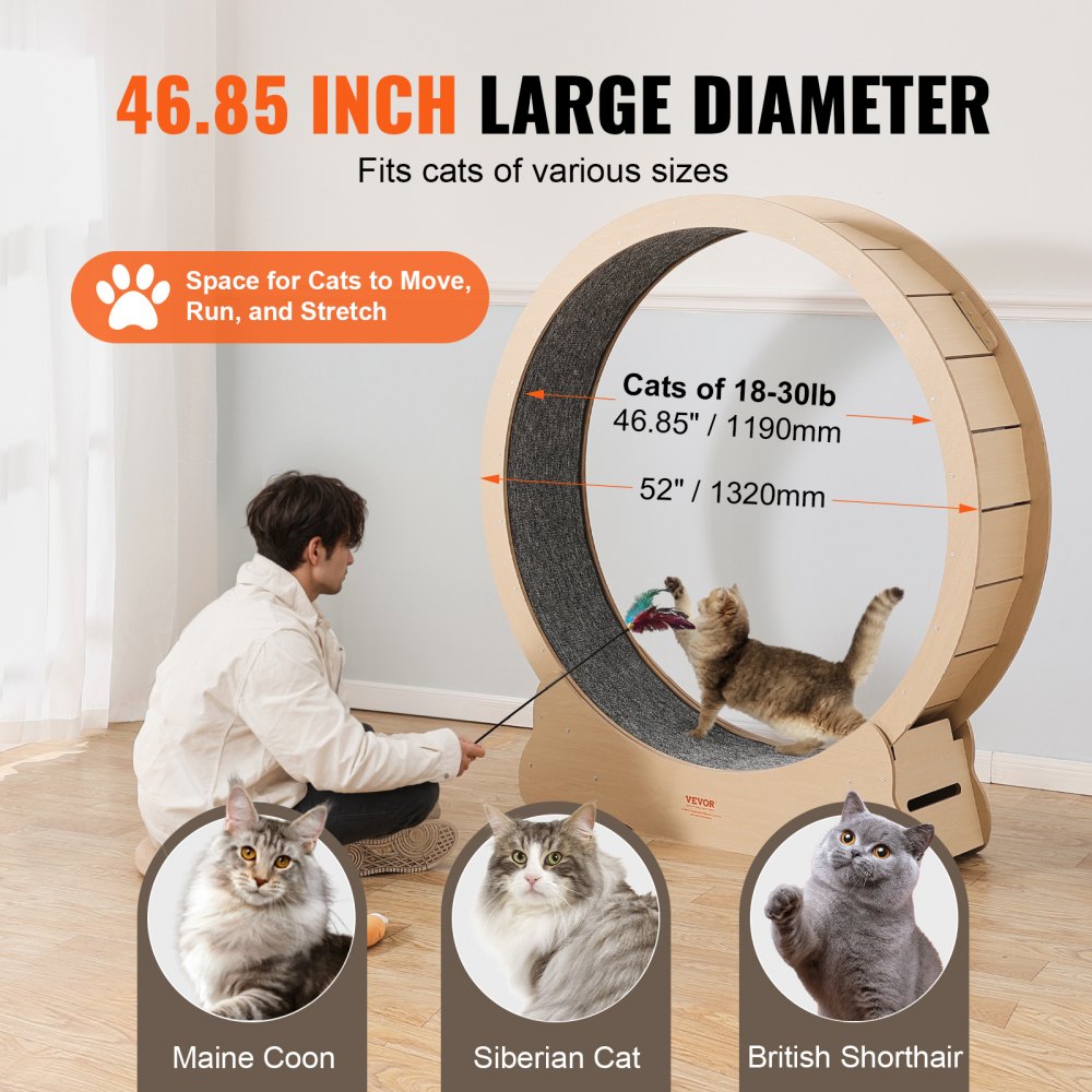 GX4.0 XXL - Durable 52" Wooden Cat Exercise Wheel with Stable Base