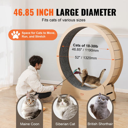 GX4.0 XXL - Durable 52" Wooden Cat Exercise Wheel with Stable Base