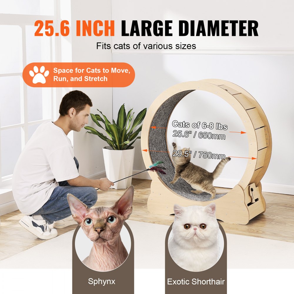 GX4.0 XS - Durable Cat Exercise Wheel with Silent Design, 29.5 in Wide