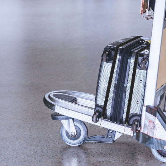 010396439573 - 31" Durable Bungee Cords for Outdoor Gear Bundling