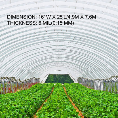 010262740627 - 16' x 25' UV-Resistant Polyethylene Greenhouse Film, 6 Mil Thick
