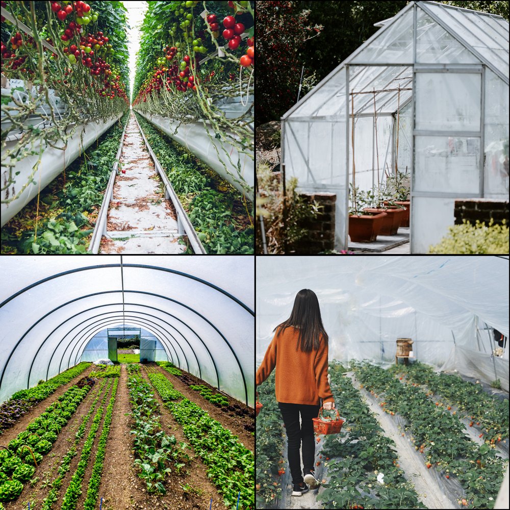 010613893581 - 20' x 28' Greenhouse Film, 6 Mil Thickness, UV Resistant
