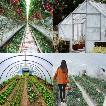 010613893581 - 20' x 28' Greenhouse Film, 6 Mil Thickness, UV Resistant