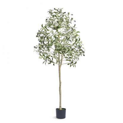 FH-GL150 - 5 FT Lifelike Olive Tree, Ideal for Indoor/Outdoor Decor
