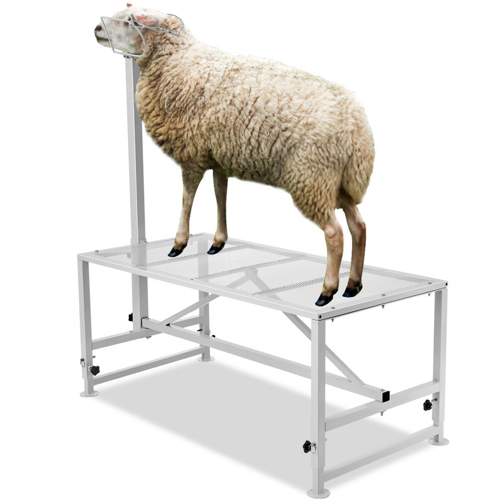 SCJ002-W - VEVOR 47x23" Goat Stand, 500lbs Capacity, Adjustable Height 21"-33"