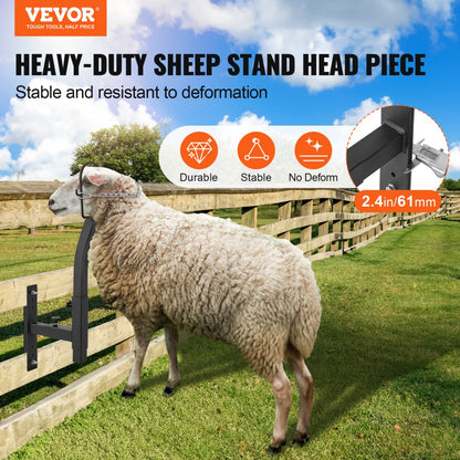 SCJ001 - VEVOR Adjustable Goat & Sheep Trimming Stand for Hoof Care