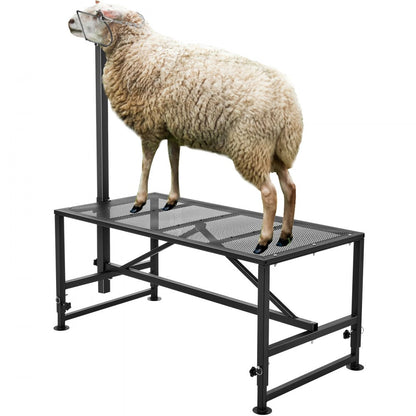 SCJ002-B - Adjustable Goat & Sheep Stand for Safe Hoof Trimming, 47x23 inch