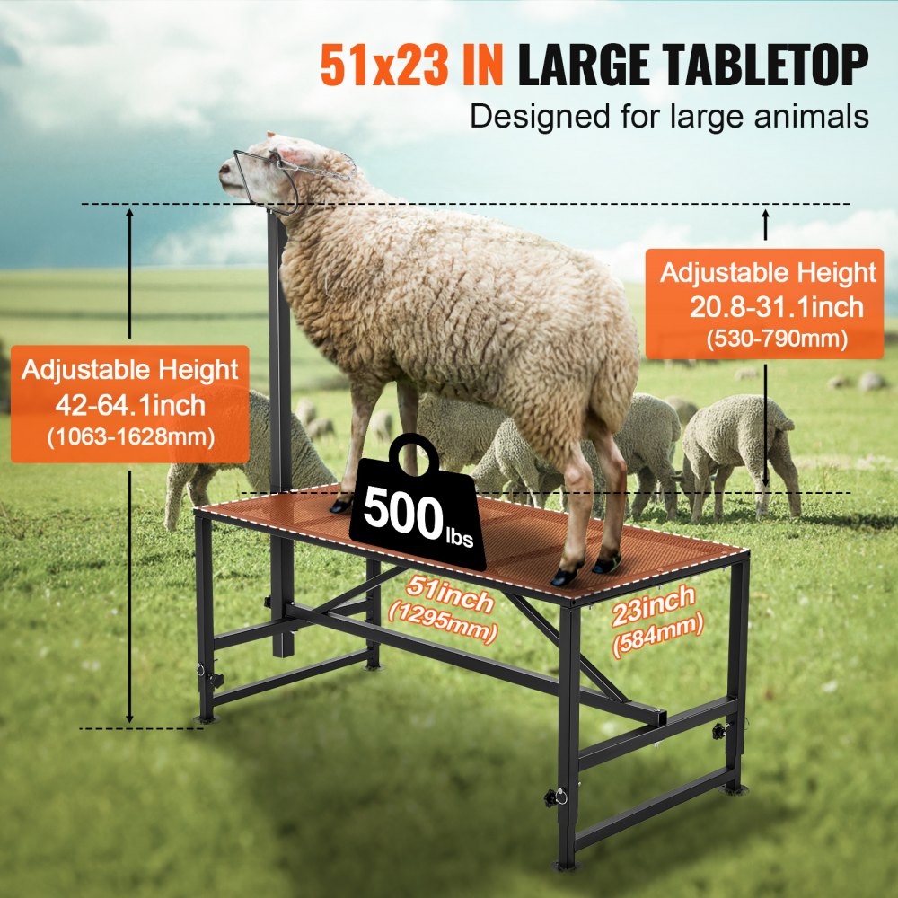 SCJ003-B - Adjustable 51"x23" Goat & Sheep Stand for Easy Shearing