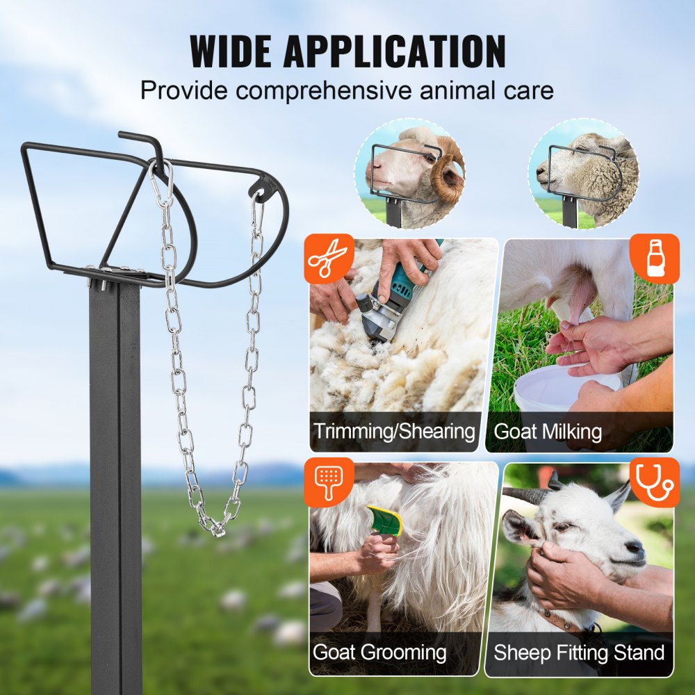 SCJ003-B - Adjustable 51"x23" Goat & Sheep Stand for Easy Shearing