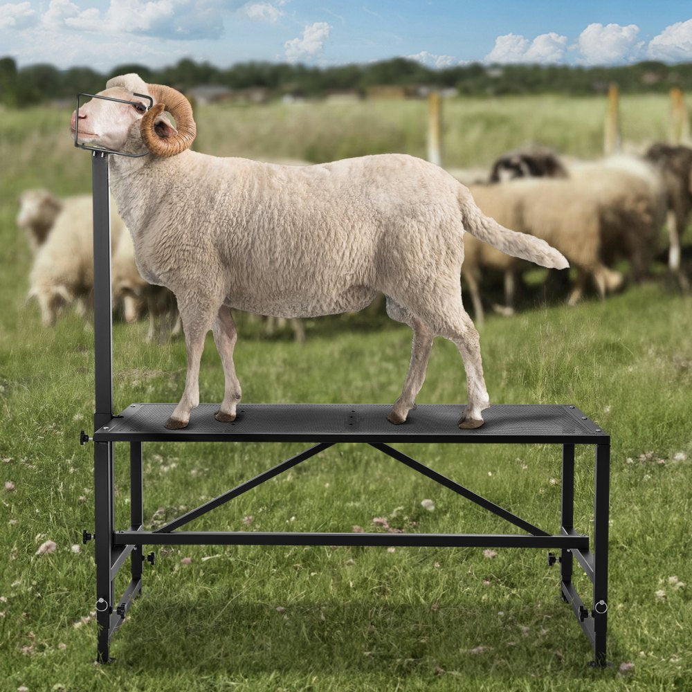 SCJ003-B - Adjustable 51"x23" Goat & Sheep Stand for Easy Shearing