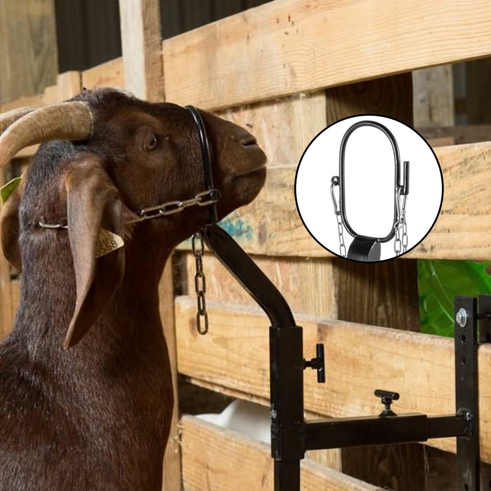 010391568933 - Adjustable Goat Trimming Stand with Galvanized Steel and Nylon Rope