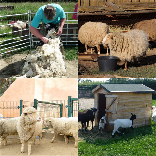 010391568933 - Adjustable Goat Trimming Stand with Galvanized Steel and Nylon Rope