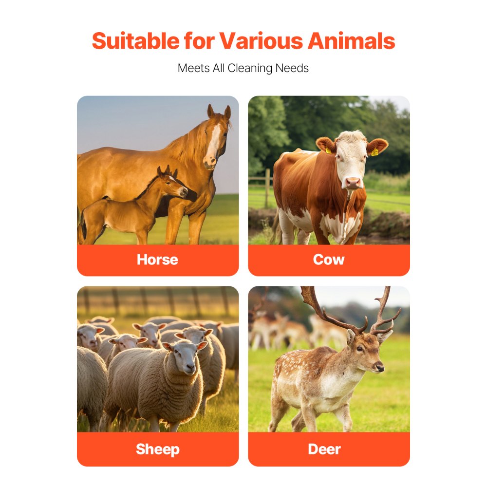 FL-CBB003 - 17.1" Livestock Scratch Brush for Horses, Cows & More