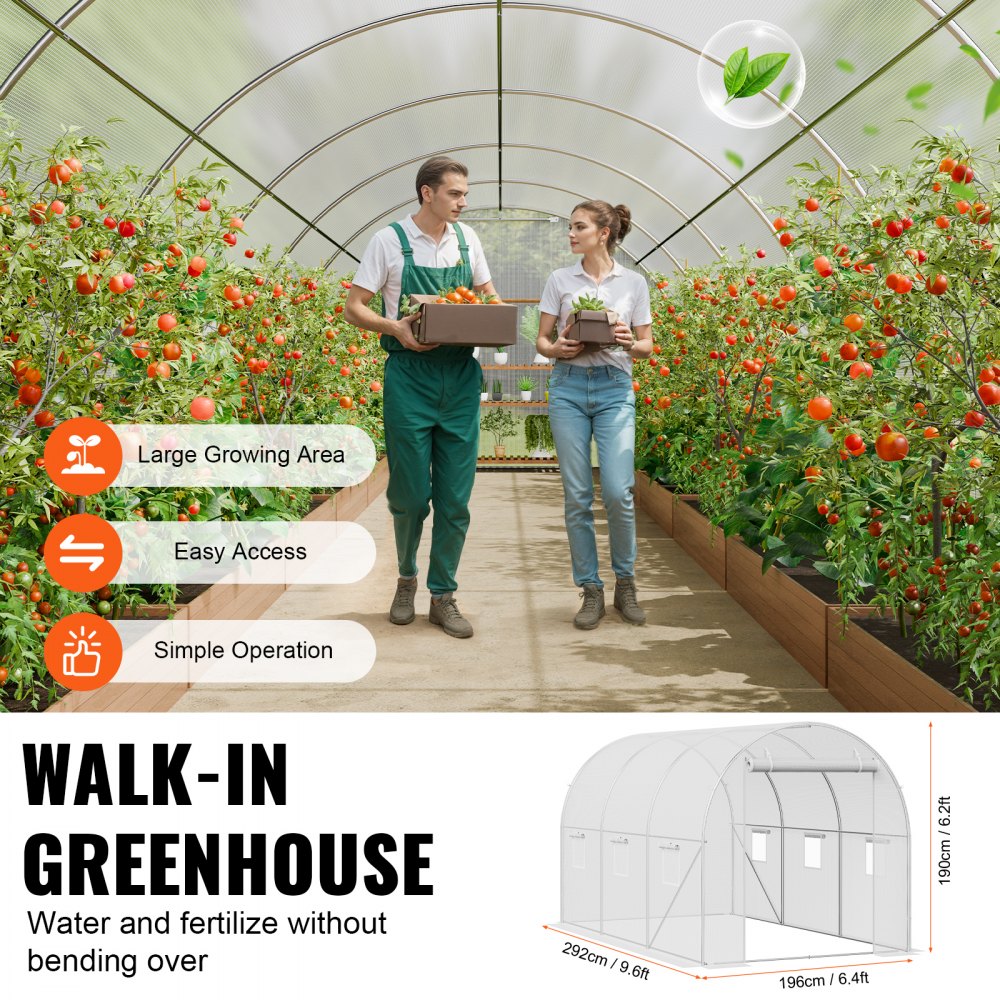 2×3×2m(3）W - Durable Walk-In Greenhouse with Heavy-Duty PE Cover