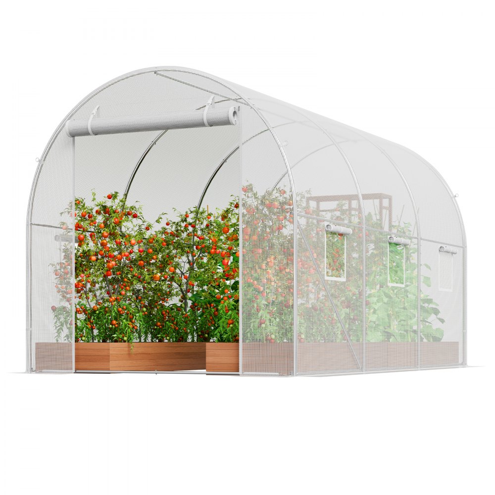 2×3×2m(3）W - Durable Walk-In Greenhouse with Heavy-Duty PE Cover