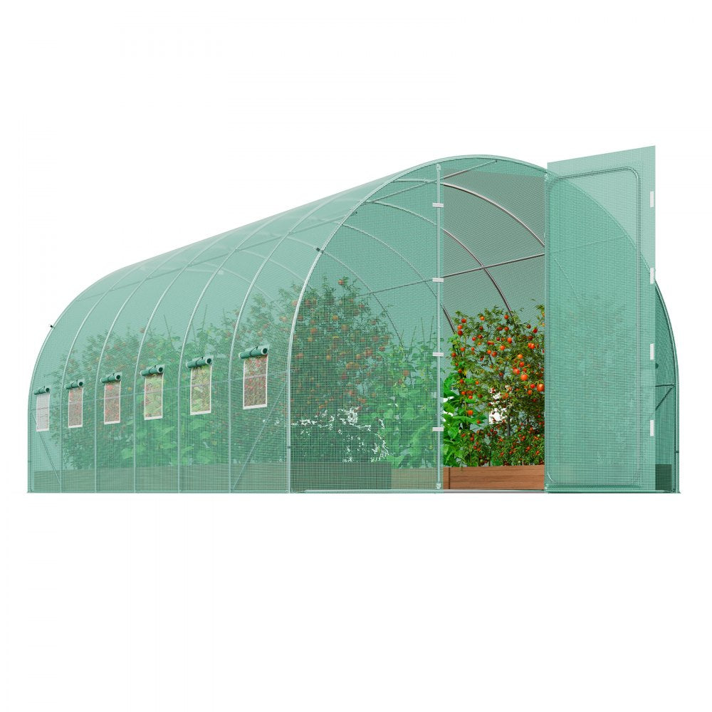 3×6×2.25m(6）G - Durable Walk-In Tunnel Greenhouse with UV-Resistant Cover