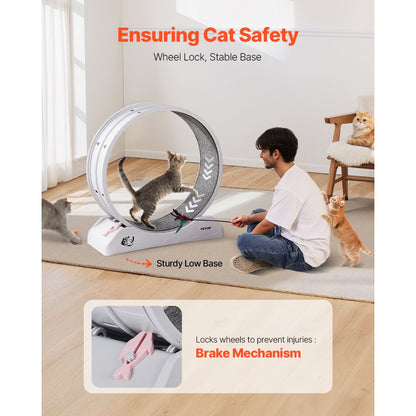 Small 80cm Model - Cat Exercise Wheel for Indoor Fun & Relaxation