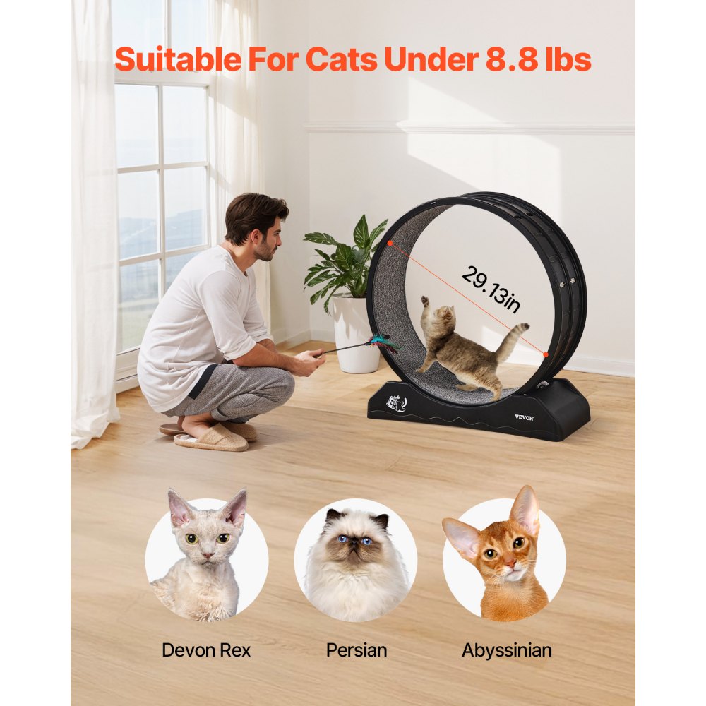 Small 80cm - 31.5" Durable Cat Exercise Wheel with Safety Brake