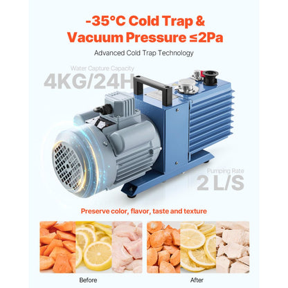 HFD-4 - 8.8-13.2 lbs Vacuum Freeze Dryer for Food Preservation
