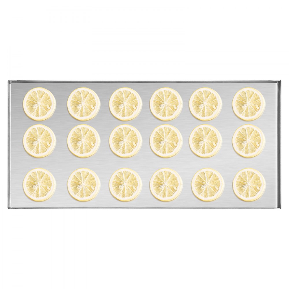 HFD-4 - 8.8-13.2 lbs Vacuum Freeze Dryer for Food Preservation