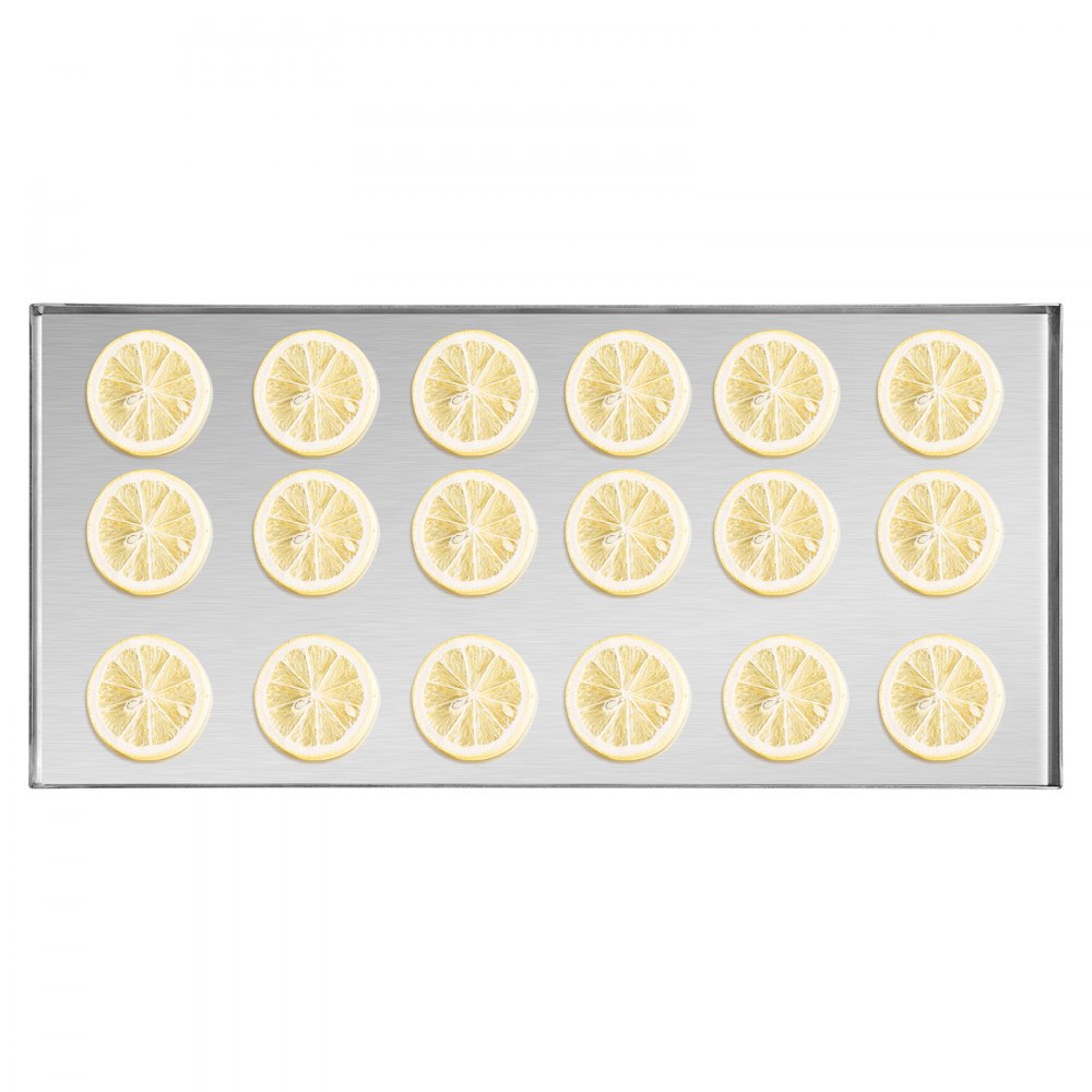 HFD-4 - 4-Layer Vacuum Freeze Dryer for Fruits & Vegetables