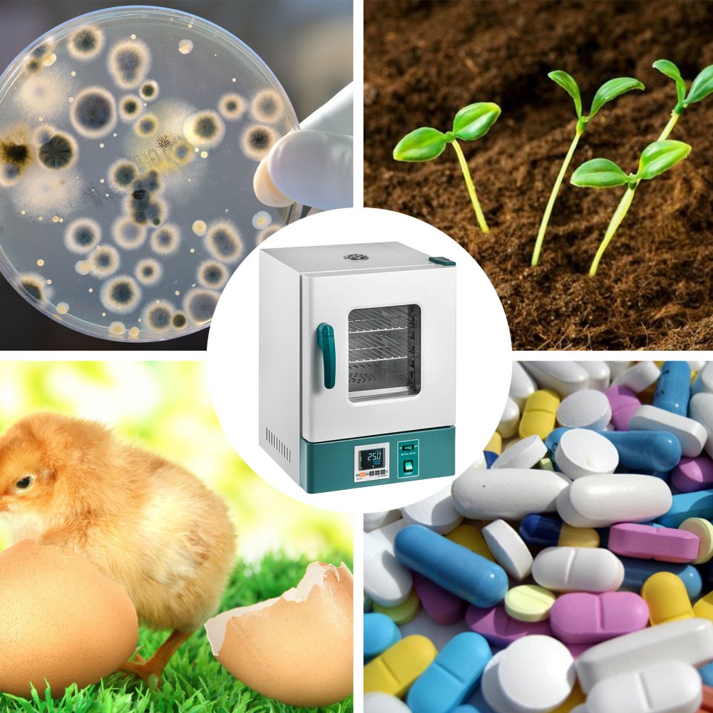 010776630961 - 20L Adjustable Lab Incubator with Transparent Window, RT+5 to 70°C