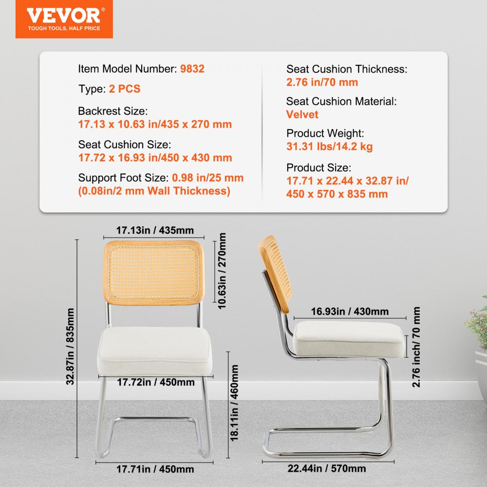 9832 - Stylish Rattan Dining Chairs with Plush Cushions, Set of 2