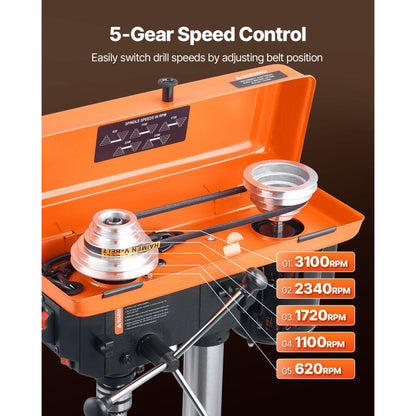 DP8 - 8-Inch Drill Press with Adjustable Tilt and LED Light